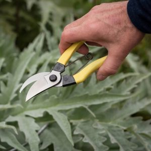 Niwaki Mainichi Secateurs