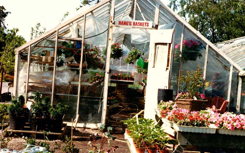 Greenhouse-Old-Lowden